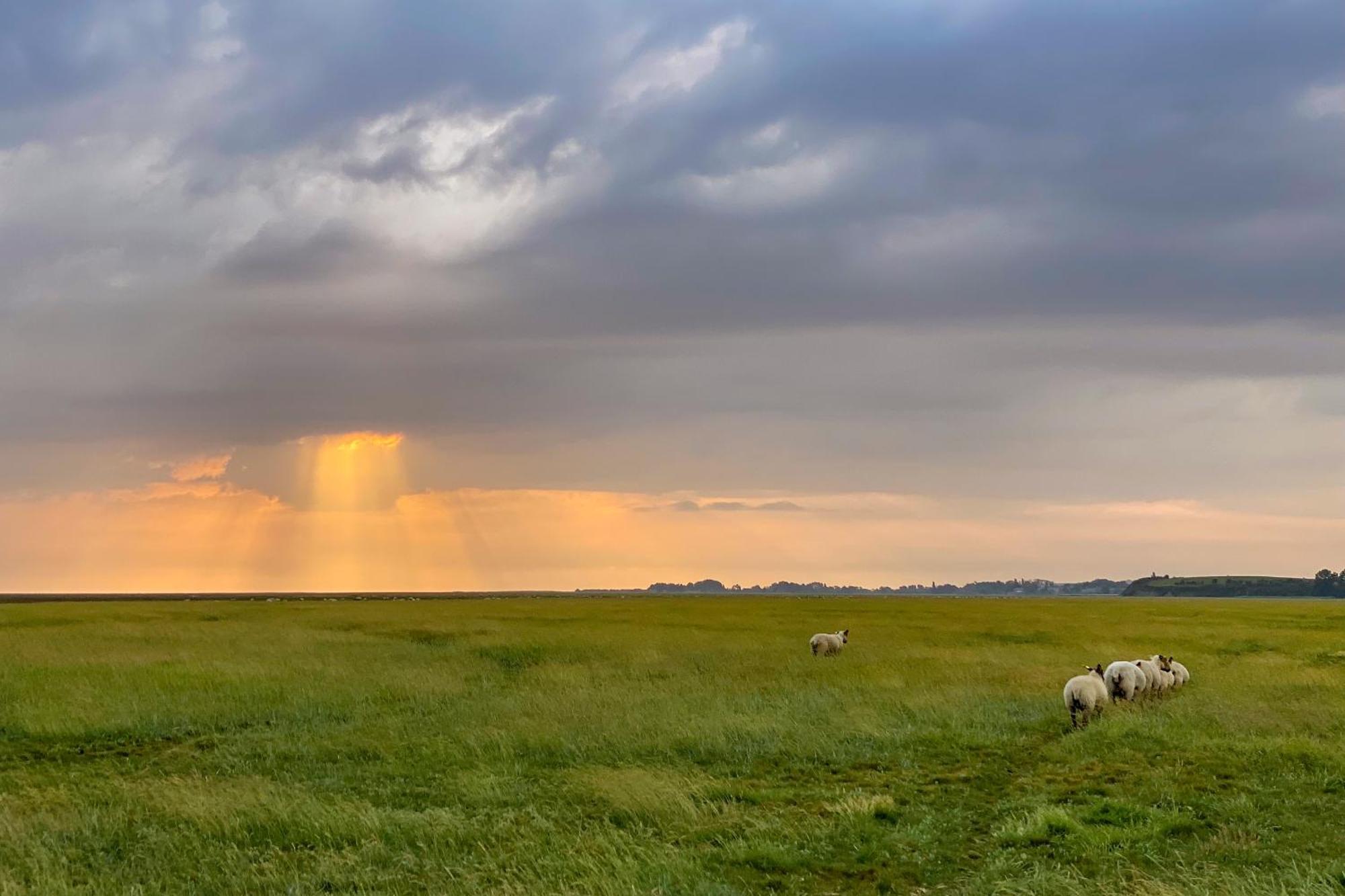 Entre Mont St Michel Et Merveille Vains Екстериор снимка